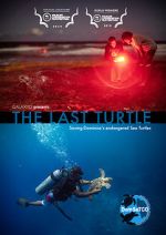 Watch The Last Turtle (Short 2019) Moviesjoy