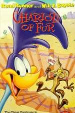 Watch Ready Woolen and Able Moviesjoy