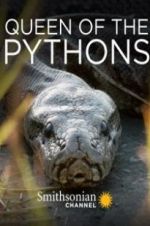 Watch Queen of the Pythons Moviesjoy