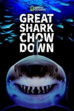Watch Great Shark Chow Down Moviesjoy