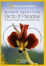Watch Winged Seduction: Birds of Paradise Moviesjoy