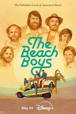 Watch The Beach Boys Moviesjoy