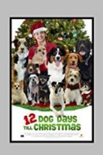 Watch 12 Dog Days Till Christmas Moviesjoy