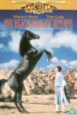 Watch The Black Stallion Returns Moviesjoy
