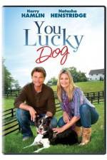 Watch You Lucky Dog Moviesjoy