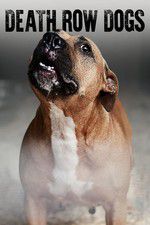Watch Death Row Dogs Moviesjoy