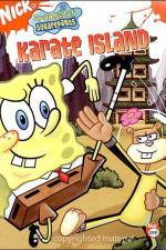 Watch SpongeBob SquarePants Whale of a BirthdayKarate Island Moviesjoy