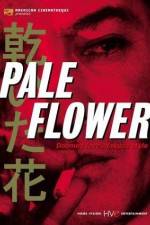 Watch Kawaita hana Moviesjoy