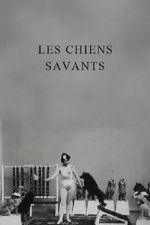 Watch Les chiens savants Moviesjoy