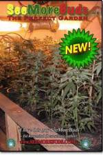 Watch SeeMoreBuds: Vol. 3 Moviesjoy