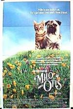 Watch Milo & Otis Moviesjoy