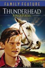 Watch Thunderhead - Son of Flicka Moviesjoy