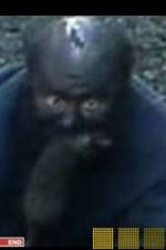 Watch The Legend of Catman Moviesjoy