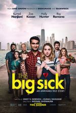 Watch The Big Sick Moviesjoy