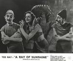 Watch A Ray of Sunshine: An Irresponsible Medley of Song and Dance Moviesjoy