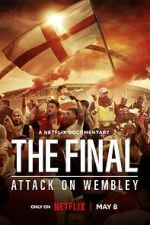 Watch The Final: Attack on Wembley Moviesjoy