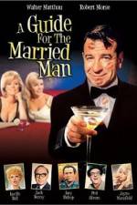 Watch A Guide for the Married Man Moviesjoy