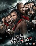 Watch WWE Survivor Series WarGames (TV Special 2024) Moviesjoy