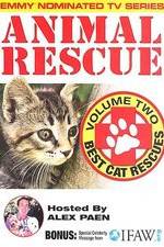 Watch Animal Rescue, Volume 2: Best Cat Rescues Moviesjoy
