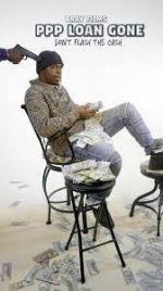 Watch PPP Loan Gone Moviesjoy