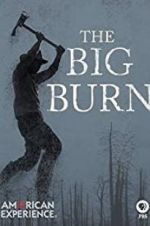 Watch American Experience: The Big Burn Moviesjoy