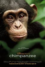 Watch Chimpanzee Moviesjoy