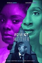 Watch The Perfect Mother Moviesjoy