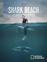 Watch Shark Beach with Chris Hemsworth (TV Special 2021) Moviesjoy