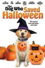 Watch The Dog Who Saved Halloween Moviesjoy