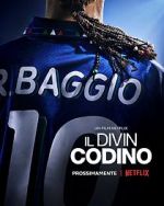 Watch Baggio: The Divine Ponytail Moviesjoy