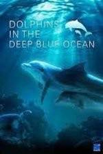 Watch Dolphins in the Deep Blue Ocean Moviesjoy