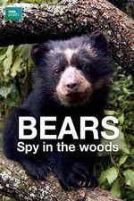 Watch Bears: Spy in the Woods Moviesjoy