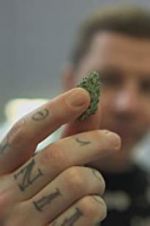 Watch Professor Green: Is It Time to Legalise Weed? Moviesjoy
