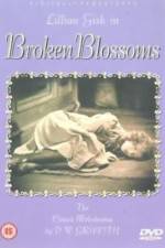 Watch Broken Blossoms or The Yellow Man and the Girl Moviesjoy