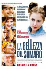 Watch La bellezza del somaro Moviesjoy