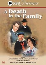 Watch A Death in the Family Moviesjoy