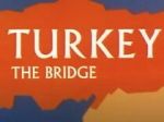 Watch Turkey the Bridge (Short 1966) Moviesjoy