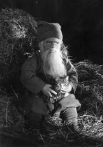 Watch Tomten Moviesjoy