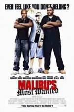 Watch Malibu's Most Wanted Moviesjoy