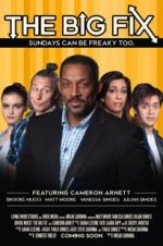 Watch The Big Fix Moviesjoy