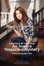 Watch A Bundle of Trouble: An Aurora Teagarden Mystery Moviesjoy
