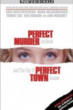 Watch Perfect Murder Perfect Town JonBenet and the City of Boulder Moviesjoy
