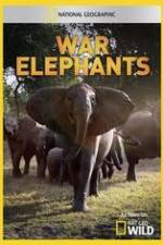 Watch War Elephants Moviesjoy