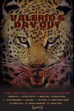 Watch Valerio\'s Day Out (Short 2019) Moviesjoy
