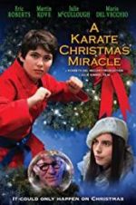 Watch A Karate Christmas Miracle Moviesjoy