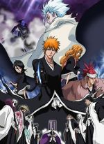 Watch Bleach the Movie 2: The Diamond Dust Rebellion Moviesjoy