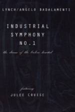 Watch Industrial Symphony No 1 The Dream of the Brokenhearted Moviesjoy