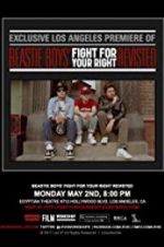 Watch Beastie Boys: Fight for Your Right Revisited Moviesjoy