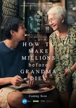 Watch How to Make Millions Before Grandma Dies Moviesjoy