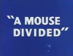 Watch A Mouse Divided (Short 1953) Moviesjoy